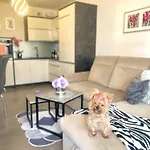 Downtown Apartments Family&Friends