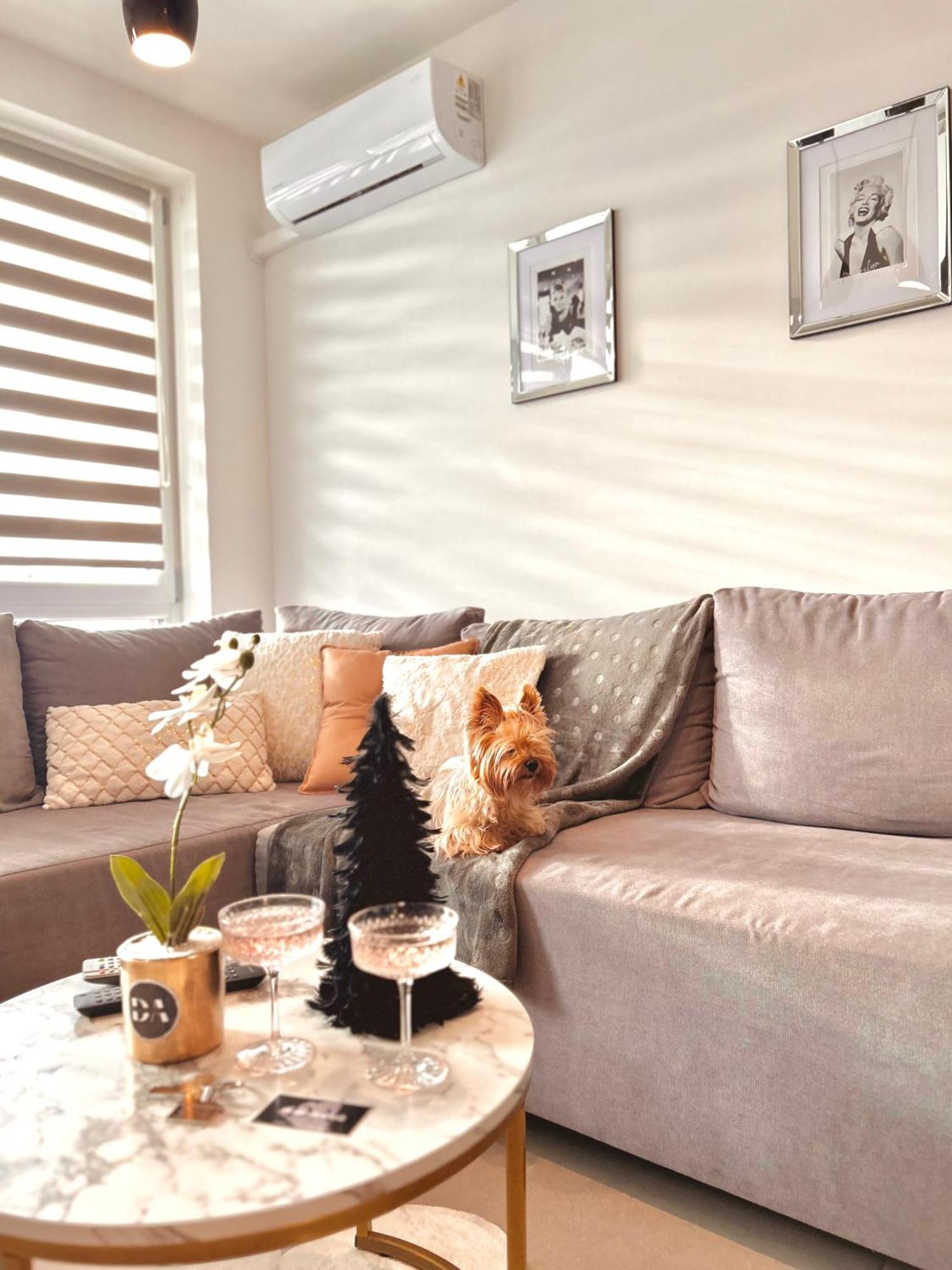 Apartment Downtown Family&friends Rzeszow